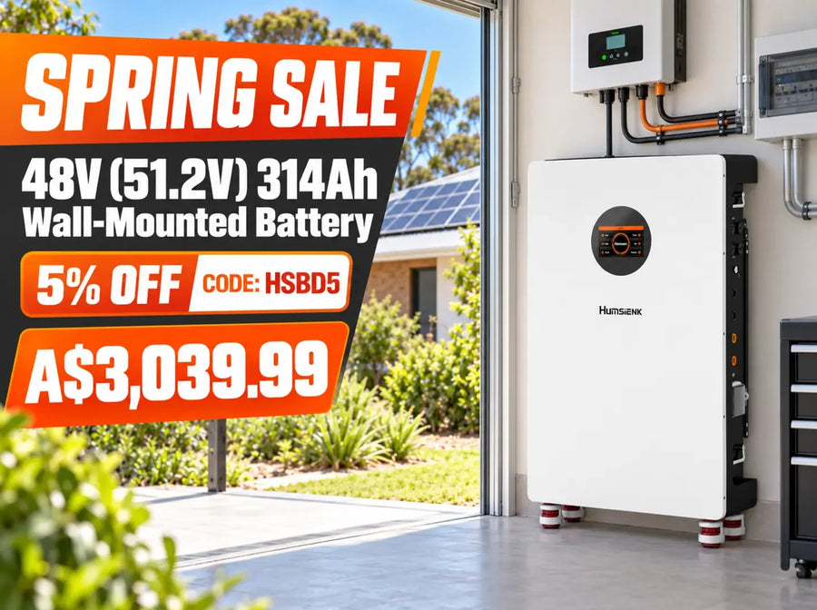 48V (51.2V) 314Ah 16KWh Mounted Bluetooth LiFePO4 Battery with 200A BMS