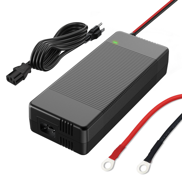 📌Local Pickup Humsienk 12V 20A LiFePO4 Battery Charger
